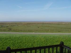 vista su un campo con recinzione e strada di Doppelhaushälfte Poppinga a Baltrum