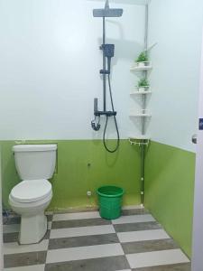 een badkamer met een toilet en een groene muur bij Liberty's Homestay in Coron