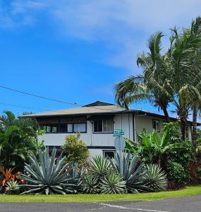 una casa con delle palme davanti di Hale Mapuana a Pahoa