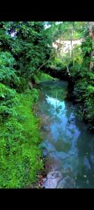 Φυσικό τοπίο κοντά σε οργανωμένο κάμπινγκ