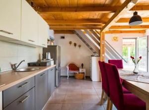 Køkken eller tekøkken på Village Holiday House Ivan Kozina