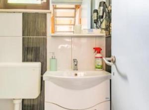 Et badeværelse på Village Holiday House Ivan Kozina + 14 billeder