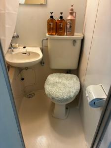 a small bathroom with a toilet and a sink at SJins in Tokyo
