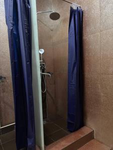 a shower with blue curtains in a bathroom at Flats Hostel in Astana +17 photos