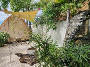 Κήπος έξω από το A Slice of Paradise +1 φωτογραφίες