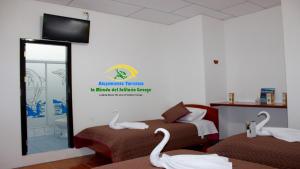 Una habitación con dos camas con cisnes. en La Mirada Del Solitario George, en Puerto Ayora 61 fotos más