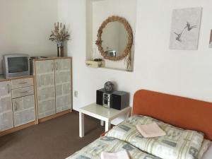 Μια τηλεόραση ή/και κέντρο ψυχαγωγίας στο Apartmánový Dom Králiky