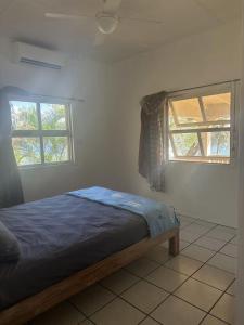 a bedroom with a bed and two windows at Blue Marlin Lodge in Port Vila +16 photos