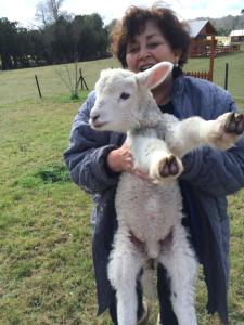 una mujer sosteniendo una oveja bebé en un campo en Rancho Saeta, en Villarrica