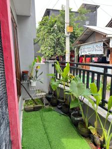 En have udenfor Arshatama Guest House UII