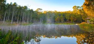 a misty lake with a gazebo and trees at Kianinny Bush Cottages in Tathra