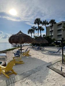 Phong cảnh thiên nhiên gần khách sạn căn hộ