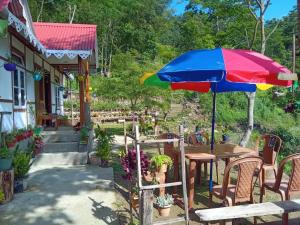 Zahrada ubytování Shaanstay