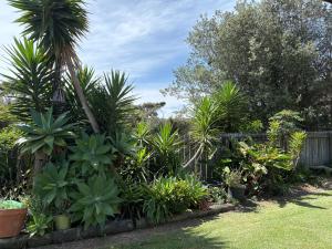 Κήπος έξω από το Lake Ngatu Cottage