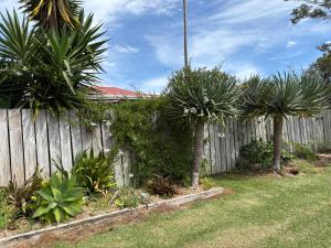 Κήπος έξω από το Lake Ngatu Cottage