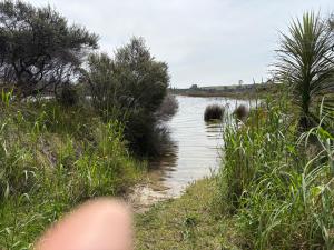 Φυσικό τοπίο κοντά σε αυτή η παραθεριστική κατοικία