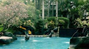 two dolphins playing in a pool in a water park at Hotel Horison Arcadia Heritage Surabaya in Surabaya