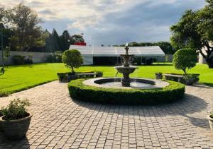 O grădină în afara The Monaco