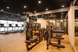 Phòng/tiện nghi tập thể dục tại Lemon Tree Suites, Gurugram