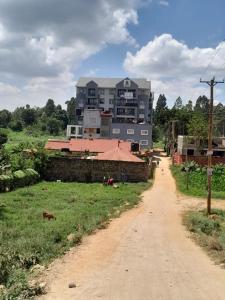 RuakaStayride Homes的土路一侧的大建筑