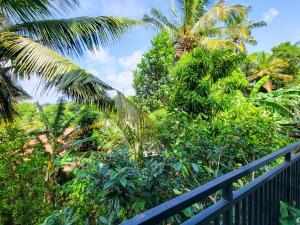 Zahrada ubytování The Green Homestay - Galle + 112 fotografií