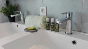 a bathroom sink with two faucets and two bottles of soap at Duplex "Harmony" in Spa