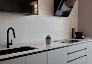 Η κουζίνα ή μικρή κουζίνα στο Ancón Suites