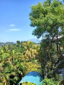 Природа в окрестностях дома для отпуска