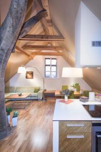 Dapur atau dapur kecil di Apartmany Chornitzeruv dum