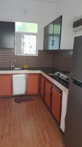 Кухня или мини-кухня в Danushka Family Guesthouse
