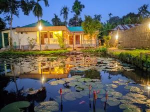 斯里曼加尔乌帕齐拉Jolpoddo Retreat的夜晚，一栋房子旁有一个长满睡莲的池塘。 更多53张照片