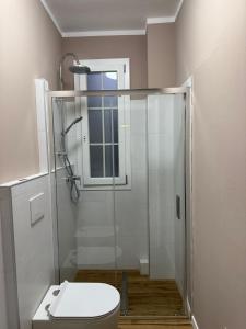 波吉邦西La Casa di Marsy的浴室配有马桶和玻璃淋浴房