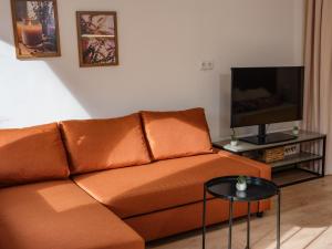 a living room with a brown couch and a tv at Sophie Studio - Top center, Cozy & Work-Friendly near AUBG, Free streaming platforms in Blagoevgrad