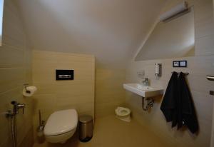 ein kleines Badezimmer mit Toilette und Waschbecken in der Unterkunft Apartmány Benecko 155 in Benecko + 55 Fotos