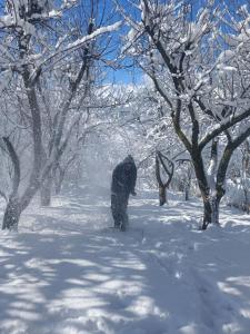 Το Dez Guest House, Margahovit, Lori τον χειμώνα