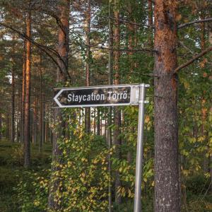 Naturlandskabet i nærheden af lejligheden