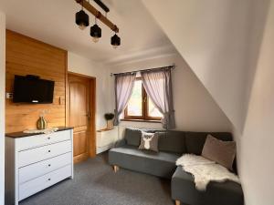 Μια τηλεόραση ή/και κέντρο ψυχαγωγίας στο Dom na Wierchu