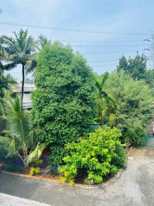 Zahrada ubytování GREEN VILLA CHIRACKAL GARDENs