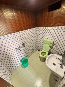 een badkamer met een groen toilet en een wastafel bij P Square Resto Cafe n Stay in Darjeeling +15 foto's