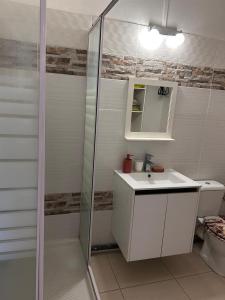 ein Badezimmer mit Waschbecken und Dusche mit Spiegel in der Unterkunft Les Jardins de Delgres in Trois-Rivières + 15 Fotos