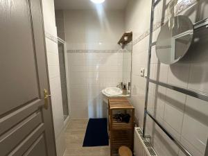 SeurreEcrin de Saône的带水槽和马桶的小浴室 更多45张照片