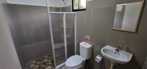 a bathroom with a shower and a toilet and a sink at Lunazul Guesthouse in San Vicente