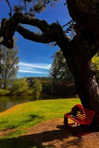 Vườn quanh Willows on Wylie
