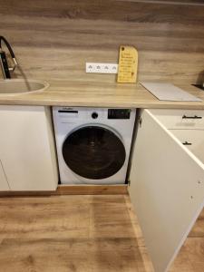 a kitchen with a dishwasher in a counter top at Brīvdienu māja Vecdaugavā in Rīga +7 photos