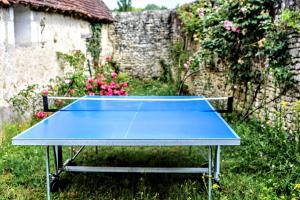 a blue ping pong table in a yard at Gîte Gué Léger - Nature & Spa - Jacuzzi, Sauna - Piscine chauffée toute l'année - 15 pers in Chanceaux-près-Loches