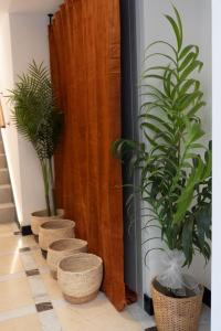 a row of potted plants sitting next to a wall at La Carrera 7 - La Catedral - Parking sujeto a disponibilidad in Jaén +25 photos