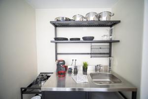 a kitchen with a sink and a shelf with pots and pans at Studio Nuna EG in Ardez