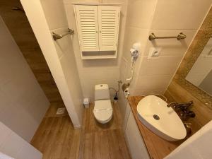 a small bathroom with a toilet and a sink at Golden Central Studio in Martin