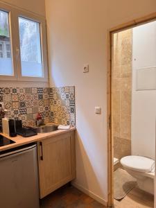 a bathroom with a sink and a toilet at Studio cosy en plein cœur du centre-ville in Avignon