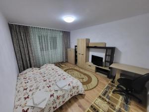 a bedroom with a bed and a desk and a television at Timisoara Studio in Timişoara